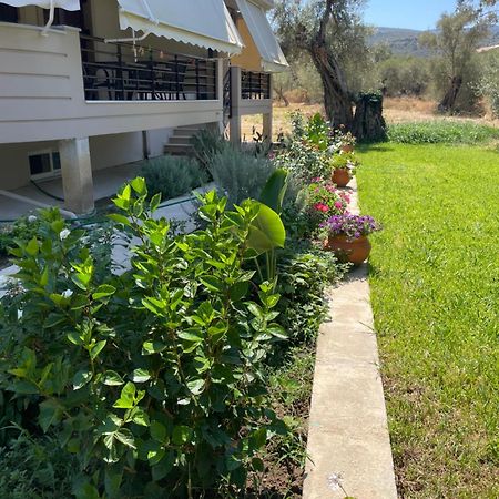 Asanis 2 Apartment Лефкада Екстериор снимка