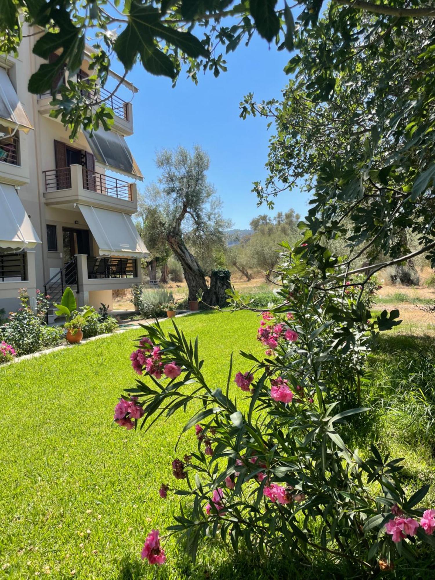 Asanis 2 Apartment Лефкада Екстериор снимка